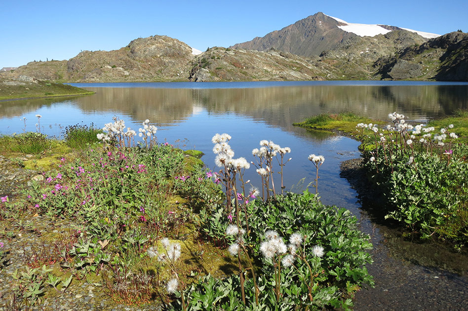 Selkirk Mountain Experience summer