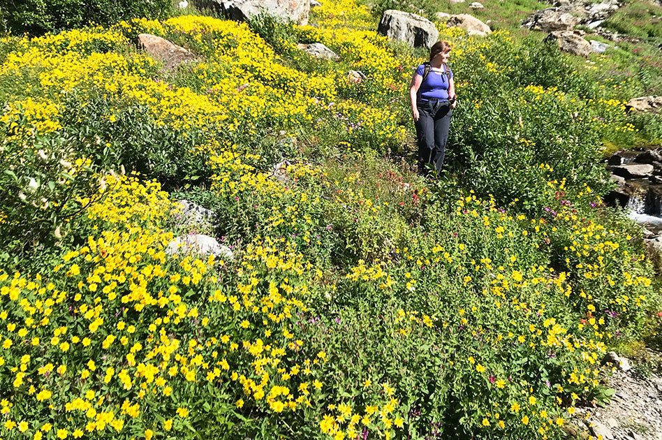 Hiking at Selkirk Mountain Experience