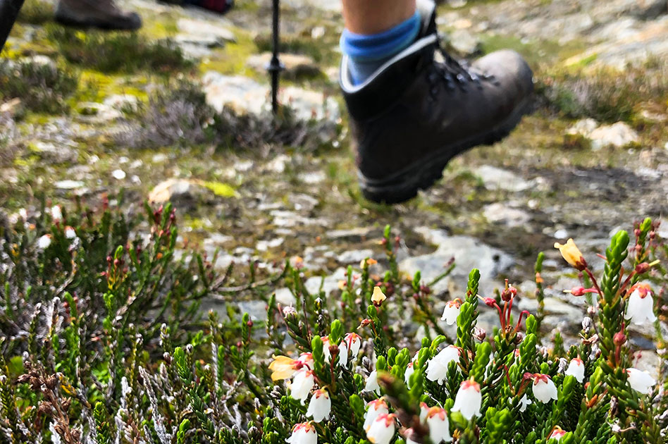 Hiking at Selkirk Mountain Experience