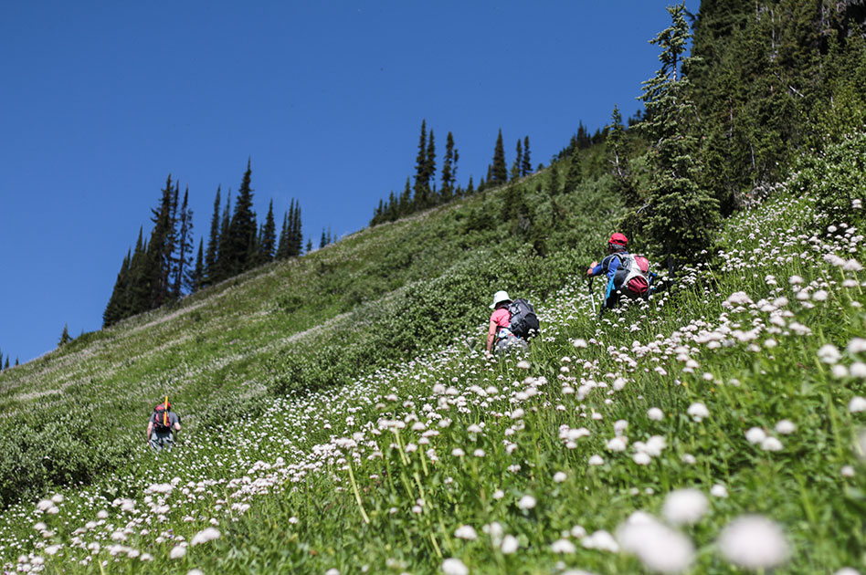 Hiking at Selkirk Mountain Experience