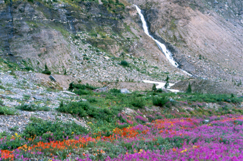 Hiking at Selkirk Mountain Experience