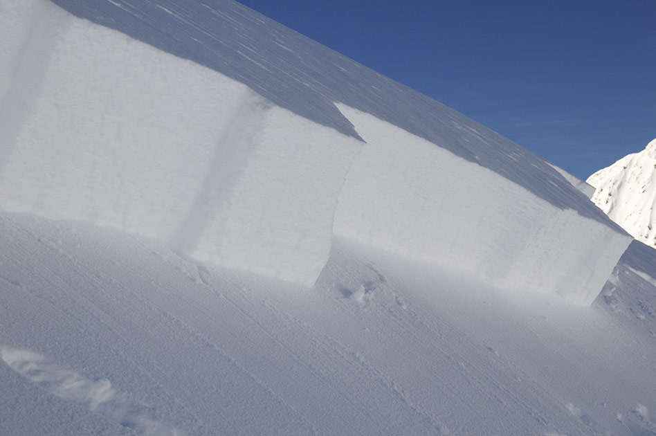 Avalanche Safety Course at Selkirk Mountain Experience