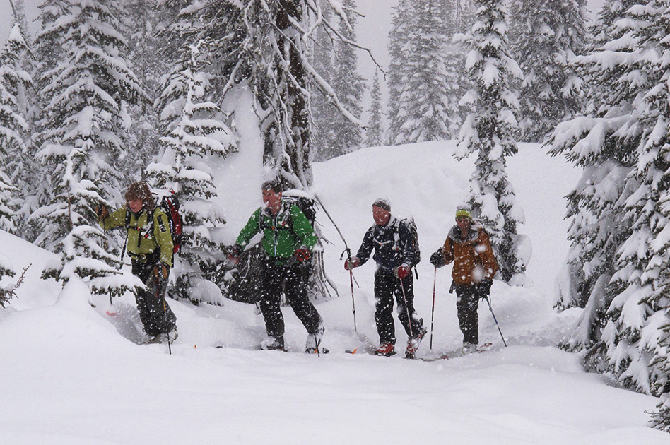 Tree Skiing with Selkirk Mountain Experience