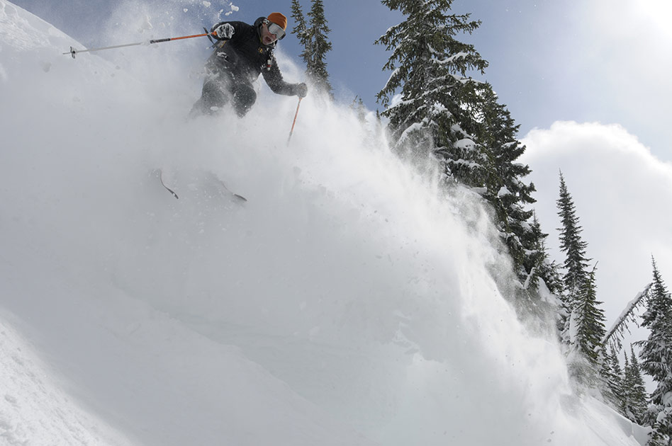 Tree Skiing with Selkirk Mountain Experience